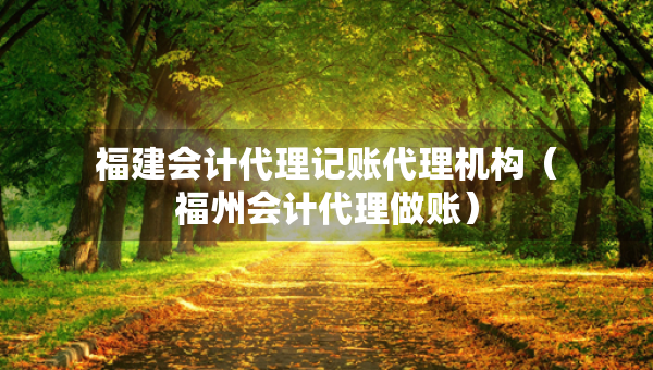 福建会计代理记账代理机构（福州会计代理做账）