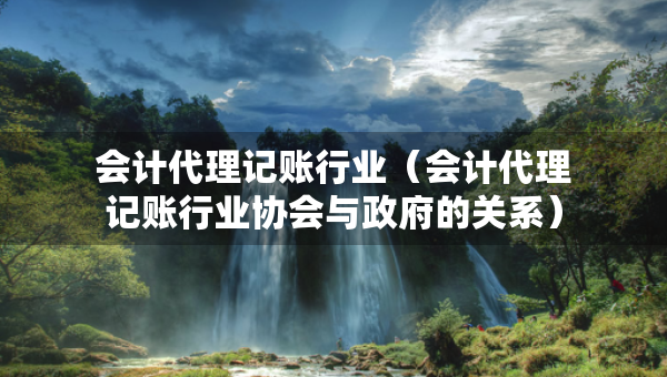 会计代理记账行业（会计代理记账行业协会与政府的关系）