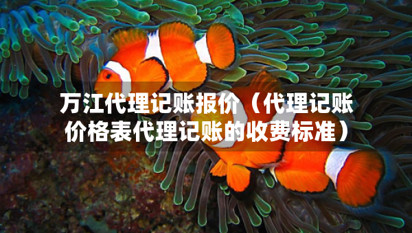 万江代理记账报价（代理记账价格表代理记账的收费标准）