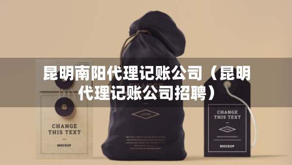 昆明南阳代理记账公司（昆明代理记账公司招聘）