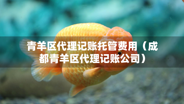 青羊区代理记账托管费用（成都青羊区代理记账公司）