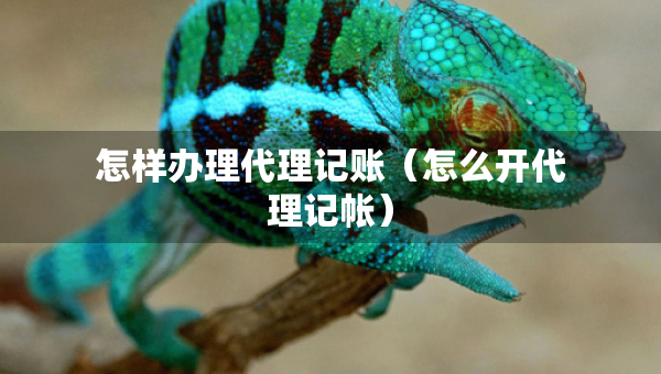 怎样办理代理记账（怎么开代理记帐）