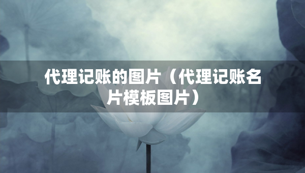 代理记账的图片（代理记账名片模板图片）
