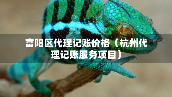 富阳区代理记账价格(杭州代理记账服务项目) 富阳区代理记账价格(杭州代理记账服务项目)