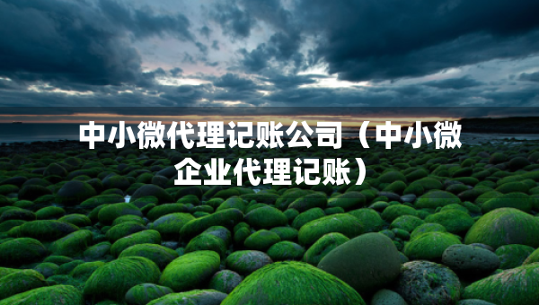 中小微代理记账公司（中小微企业代理记账）