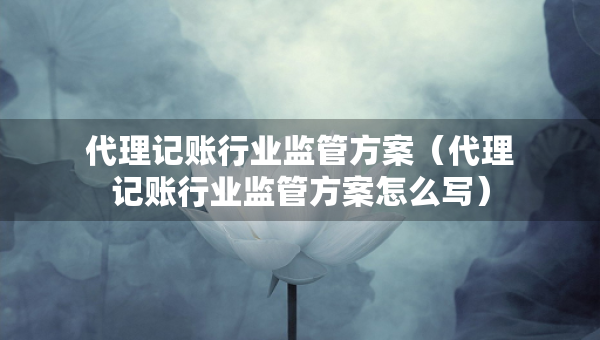 代理记账行业监管方案（代理记账行业监管方案怎么写）