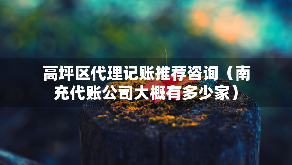 高坪区代理记账推荐咨询（南充代账公司大概有多少家）