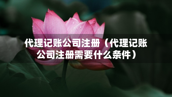 代理记账公司注册（代理记账公司注册需要什么条件）