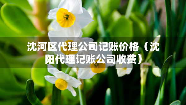 沈河区代理公司记账价格（沈阳代理记账公司收费）