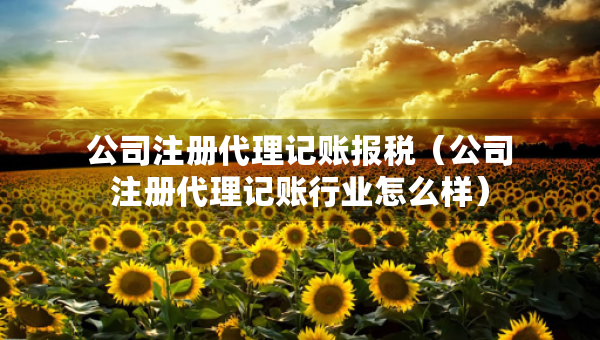 公司注册代理记账报税（公司注册代理记账行业怎么样）