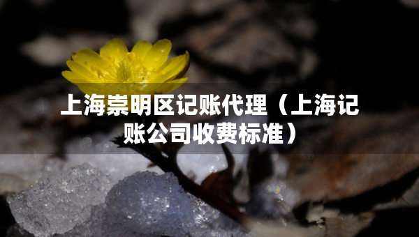 上海崇明区记账代理（上海记账公司收费标准）