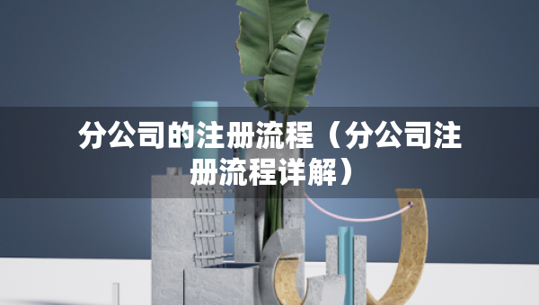 分公司的注册流程（分公司注册流程详解）
