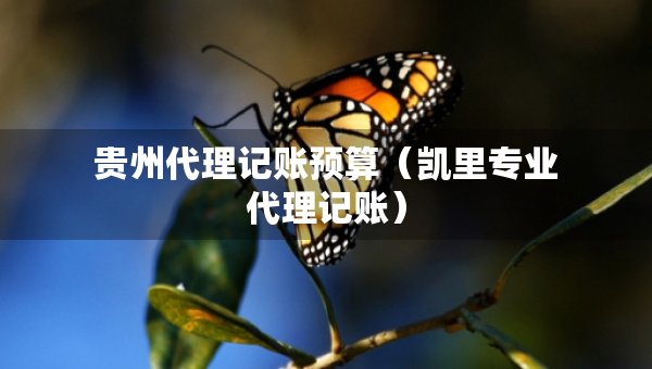 贵州代理记账预算（凯里专业代理记账）