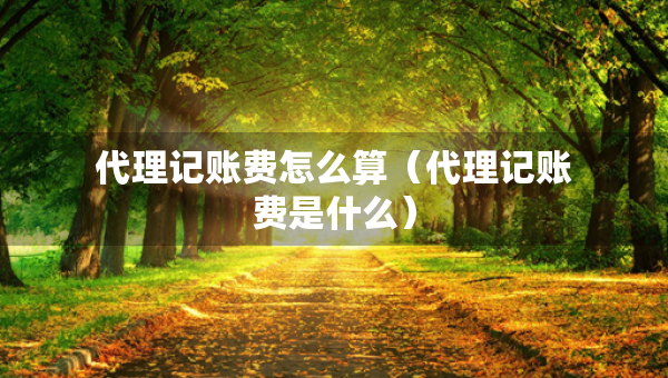 代理记账费怎么算（代理记账费是什么）