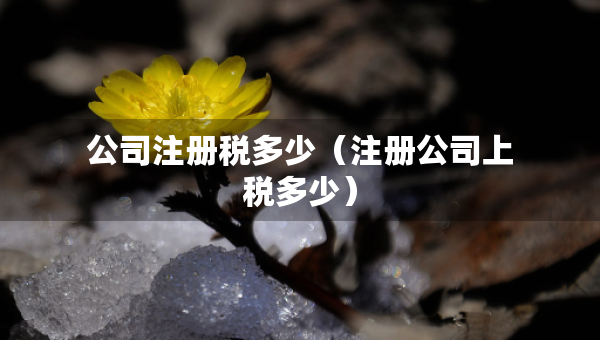 公司注册税多少（注册公司上税多少）