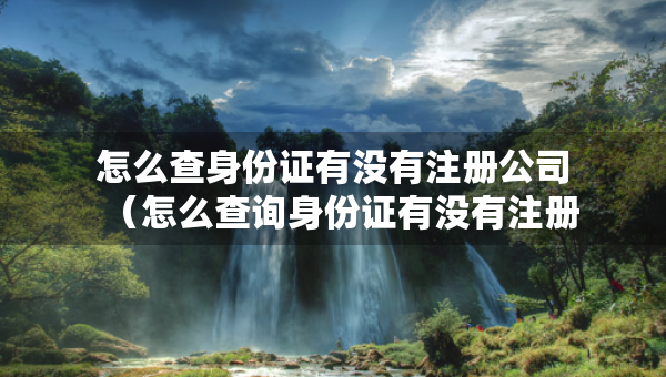 怎么查身份证有没有注册公司（怎么查询身份证有没有注册过公司）