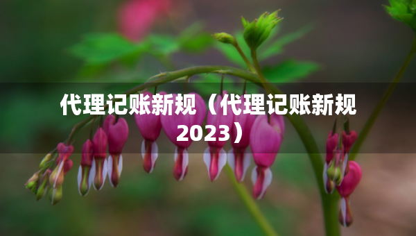 代理记账新规（代理记账新规2023）