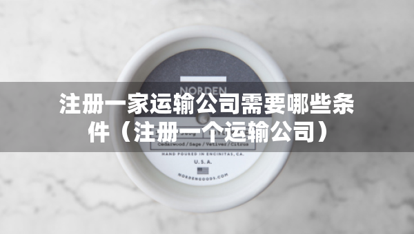 注册一家运输公司需要哪些条件（注册一个运输公司）