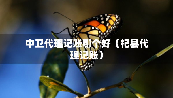 中卫代理记账哪个好（杞县代理记账）