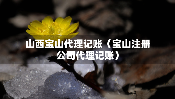 山西宝山代理记账（宝山注册公司代理记账）