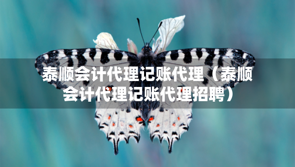 泰顺会计代理记账代理（泰顺会计代理记账代理招聘）