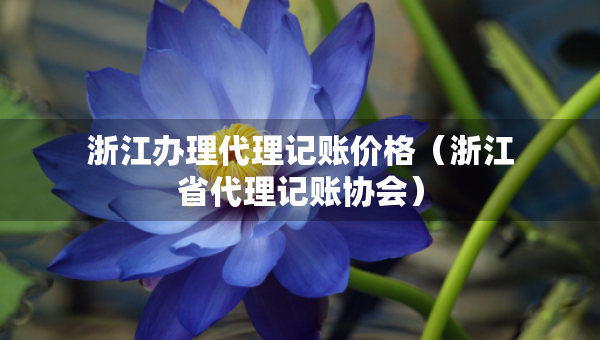浙江办理代理记账价格（浙江省代理记账协会）