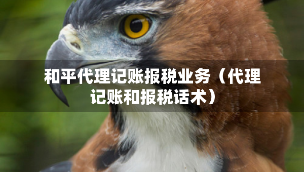 和平代理记账报税业务（代理记账和报税话术）