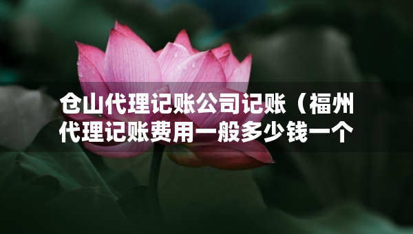 仓山代理记账公司记账（福州代理记账费用一般多少钱一个月）