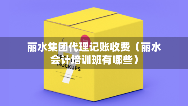 丽水集团代理记账收费（丽水会计培训班有哪些）