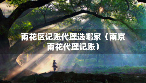 雨花区记账代理选哪家（南京雨花代理记账）