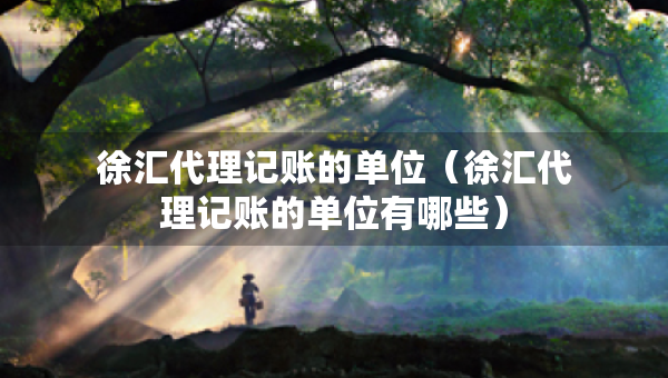 徐汇代理记账的单位（徐汇代理记账的单位有哪些）