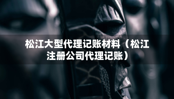 松江大型代理记账材料（松江注册公司代理记账）