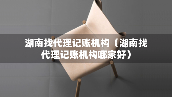 湖南找代理记账机构（湖南找代理记账机构哪家好）