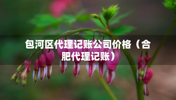 包河区代理记账公司价格（合肥代理记账）