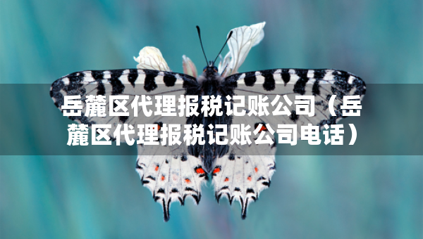 岳麓区代理报税记账公司（岳麓区代理报税记账公司电话）