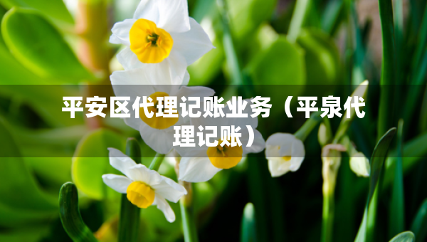 平安区代理记账业务（平泉代理记账）