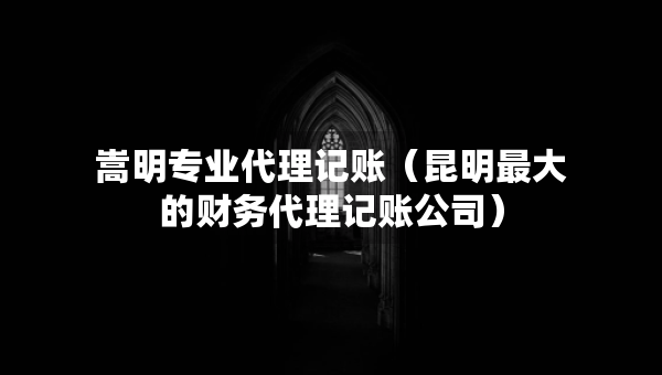 嵩明专业代理记账（昆明最大的财务代理记账公司）