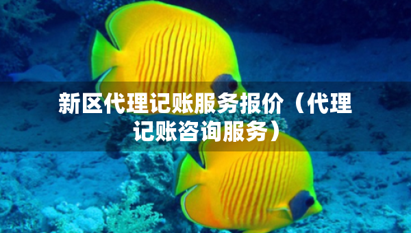 新区代理记账服务报价（代理记账咨询服务）