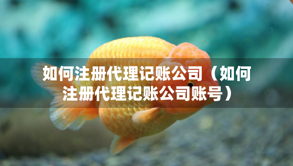 如何注册代理记账公司（如何注册代理记账公司账号）