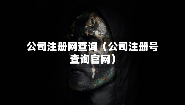 公司注册网查询（公司注册号查询官网）