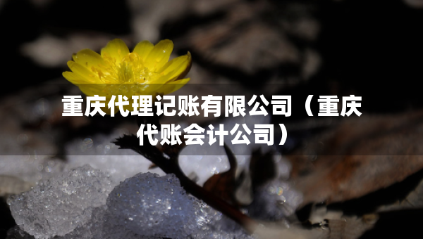 重庆代理记账有限公司（重庆代账会计公司）