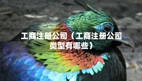 工商注册公司（工商注册公司类型有哪些）