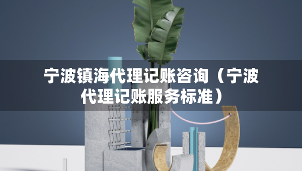 宁波镇海代理记账咨询（宁波代理记账服务标准）