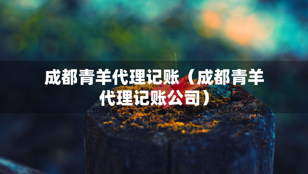 成都青羊代理记账（成都青羊代理记账公司）
