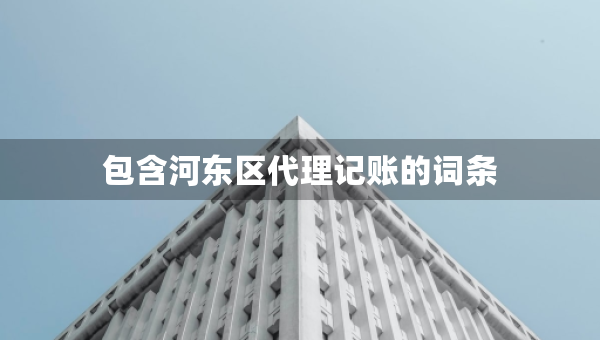 包含河东区代理记账的词条