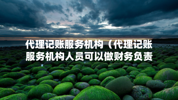代理记账服务机构（代理记账服务机构人员可以做财务负责人吗）