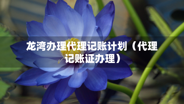 龙湾办理代理记账计划(代理记账证办理) 龙湾办理代理记账计划(代理记账证办理)