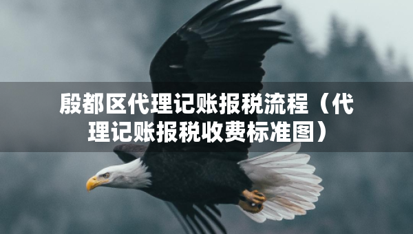 殷都区代理记账报税流程（代理记账报税收费标准图）