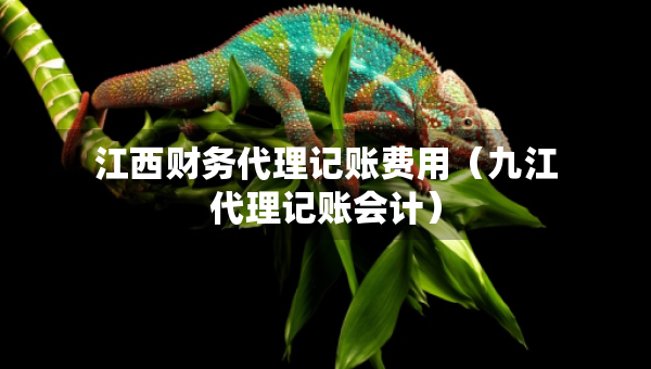 江西财务代理记账费用(九江代理记账会计) 江西财务代理记账费用(九江代理记账会计)