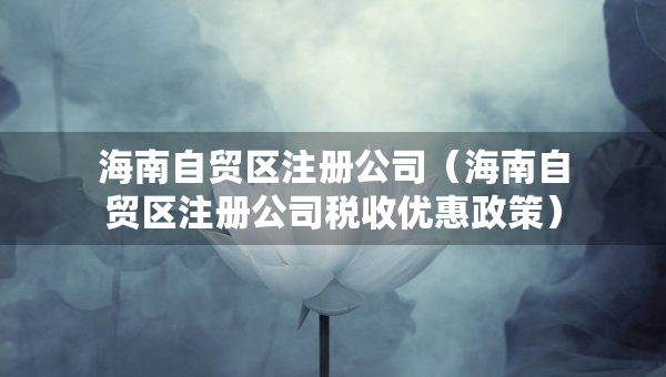 海南自贸区注册公司（海南自贸区注册公司税收优惠政策）